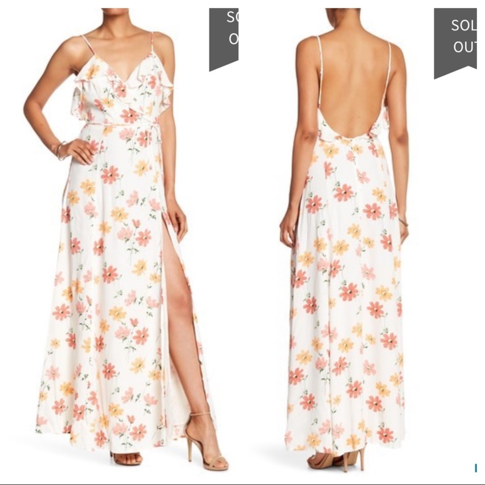NWT! Privacy Please Karen Dress